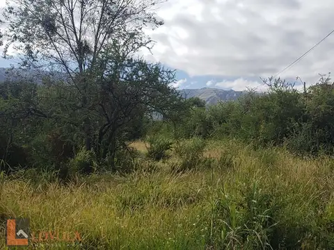 Terreno en Venta de 800,0 m2