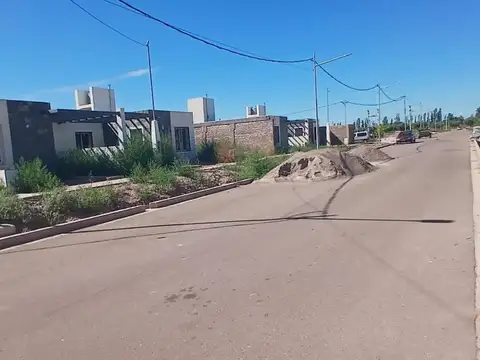 Adriano Gomez 2100
