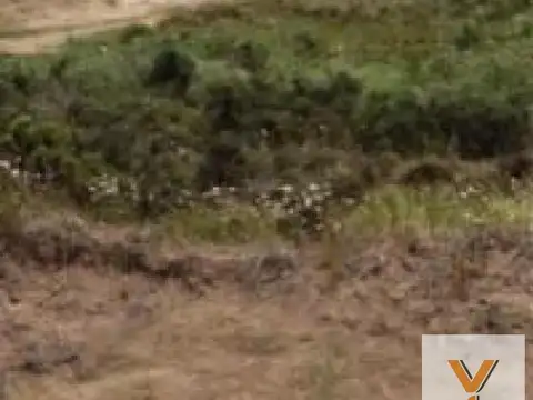 Terreno en Venta en Mar de las Pampas, USD 30.000