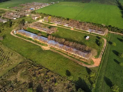 Campo en Venta con Alambrado