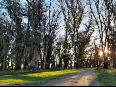 LOTE EN VENTA 2000 M² . 1ª ETAPA DEL BARRIO