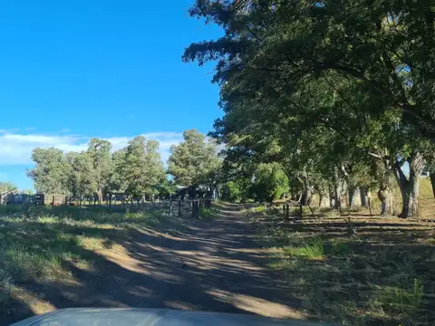 VILLARINO -EXCELENTE CAMPO GANADERO PARA CRIA - 26 POTREROS - 7 MOLINOS