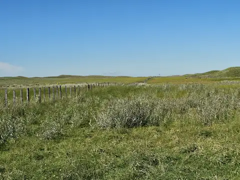 Campo en Alquiler de 2.300  ha