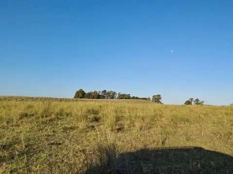 Campo en Venta de 2.300  ha