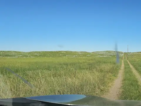 Campo en Alquiler de 2.300  ha