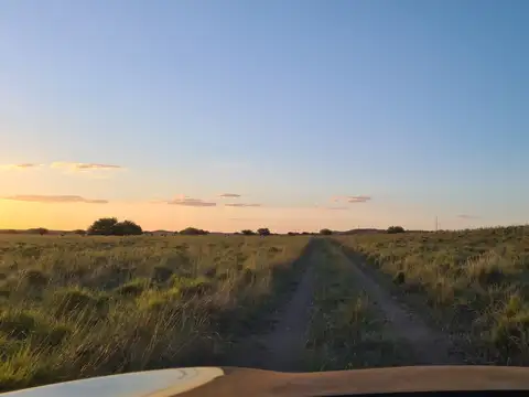 Campo en Venta de 2.300  ha