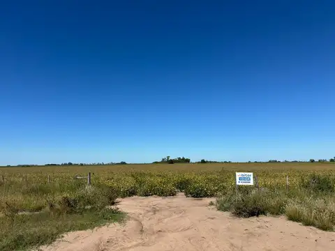 Ruta Nº 8