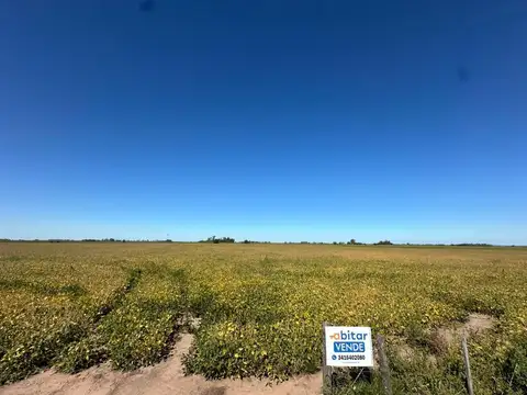 Terreno en Venta de 300260,0 m2