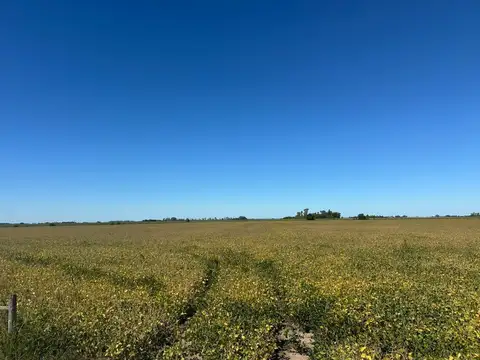 Campo en Fontezuela