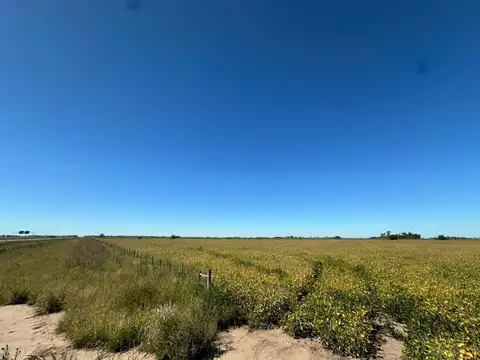 Ruta Nº 8