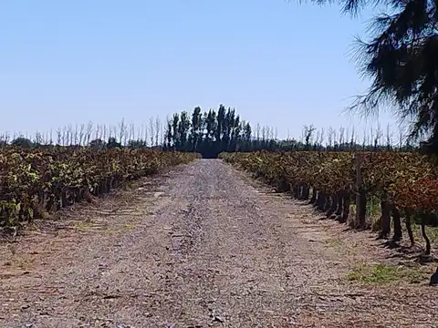 Finca de 447 has con pozo y sistema de riego