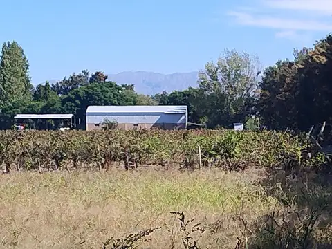 Finca de 447 has con pozo y sistema de riego