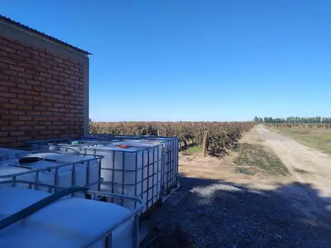 Finca de 447 has con pozo y sistema de riego
