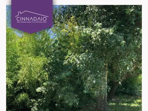 Terreno en Venta 10  mts Fondo