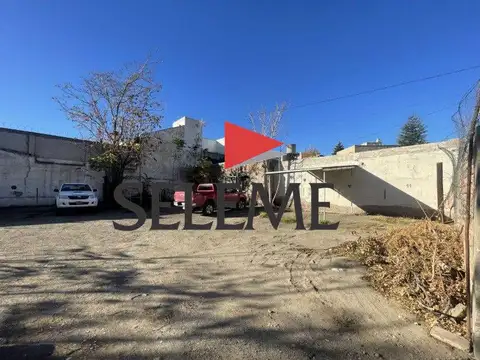 Chile 100