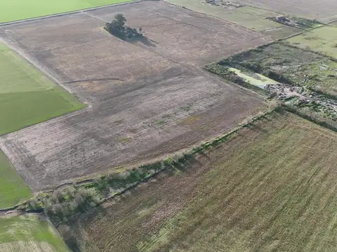 Campo en Venta Ruta Provincial 20s - Álvarez