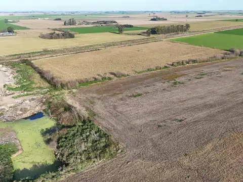 Campo en Venta Ruta Provincial 20s - Álvarez