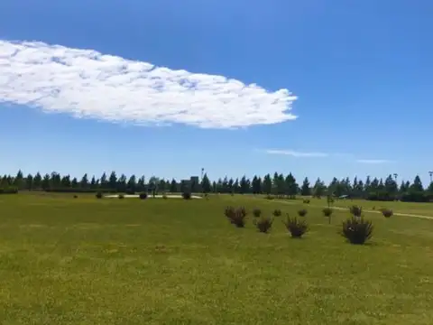 Campos de Roca 2. Ruta 2, Km 65. Brandsen, La Plata 100