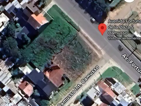 Camusso