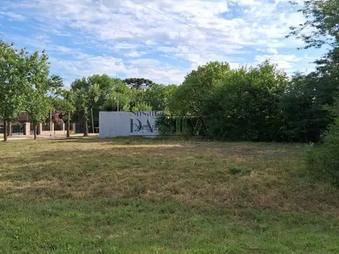 Avellaneda Y Jones, 4 Lotes