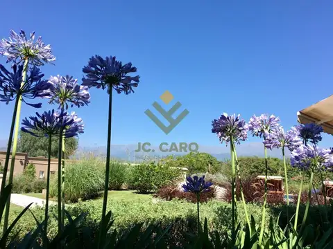 Casa en Venta en El Tipal