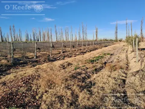 San Rafael, Mendoza.