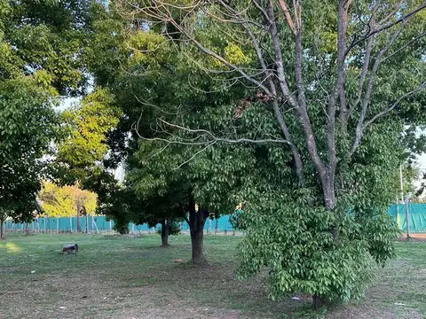 Lote  en Venta en Azzurra Tortugas, Pilar, G.B.A. Zona Norte