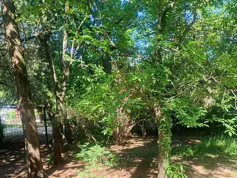 Quebrada de Tello , Piso 078 022