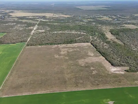 Campo en Las Taperitas - Lanteri