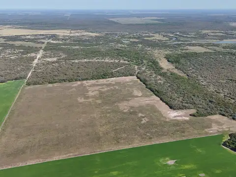 Camino Rural
