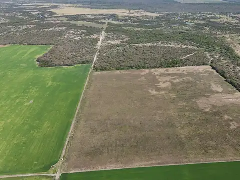 Camino Rural