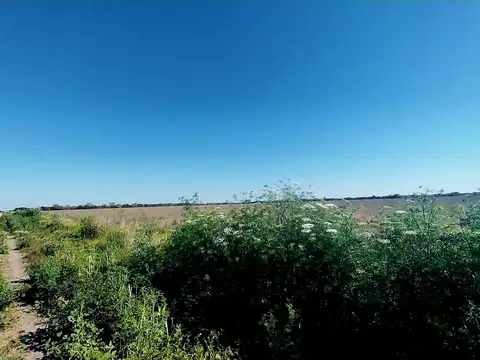 Camino Rural