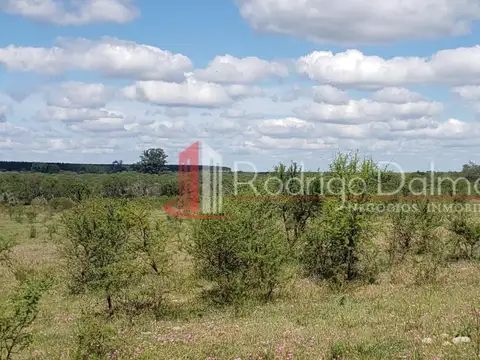 VENDO. 37 Hectáreas en Yuquerí. Concordia, ER.-