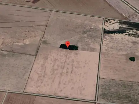 Campo en Carcaraña