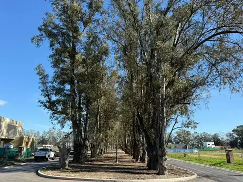 Terreno en Venta en Pilar Del Este, USD 45.000