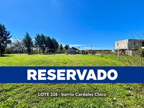 Cardales chico al 200