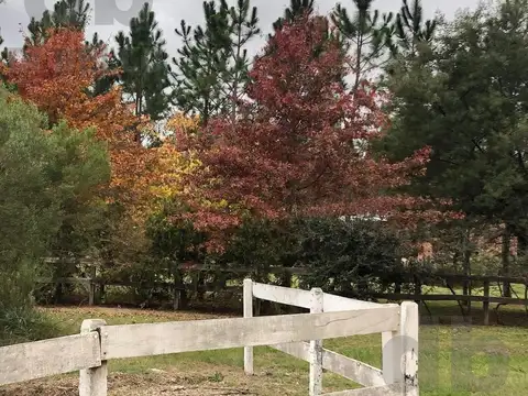 Chacras del Paraná 4