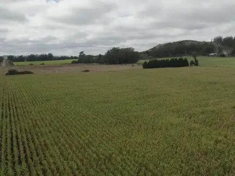 5 entre 10 y 12, Parcela 14