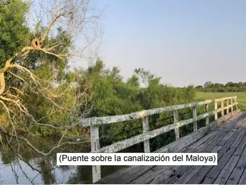 Campo 4168 Hectáreas Mixto  San Luis del Palmar Corrientes