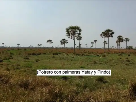 Rp 5 San Luis Del Palmar Y Gral Paz