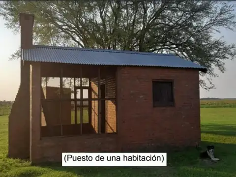 Campo 4168 Hectáreas Mixto  San Luis del Palmar Corrientes