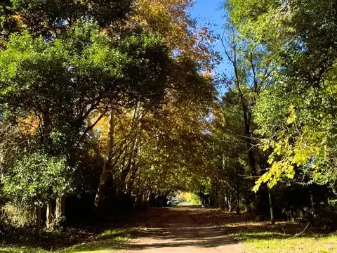 Terreno en Venta de 450,0 m2