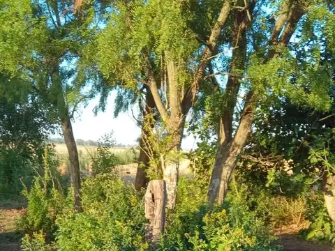 Campo en El Socorro - Mixto - Corral - Molino - Rinde