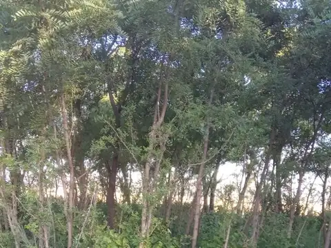 el Socorro General Gelly Pergamino