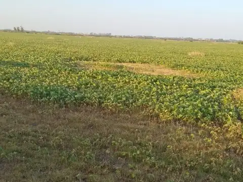 Campo en El Socorro - Mixto - Corral - Molino - Rinde
