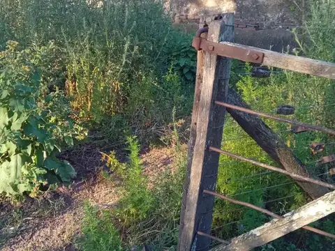 Campo en El Socorro - Mixto - Corral - Molino - Rinde
