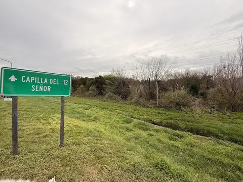 Ruta 39 km 1-PAVON 100