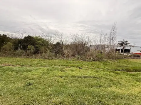Terreno Fraccion  en Alquiler en Pavón, Exaltación de la Cruz, G.B.A. Zona Norte