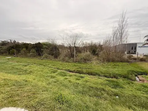 Terreno en Alquiler en Pavon, USD 3.900