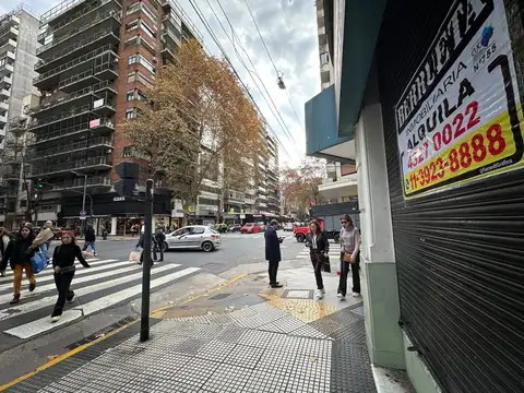 Local - Alquiler - Argentina, Capital Federal - AV. SANTA FE 3300